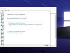΢ Windows 10ۻǿ˶֤
