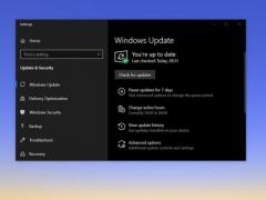 Win10 October 202020H2/Version 2009ܸ¼