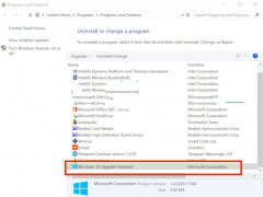 Win10רҵ upgradeļܲɾ
