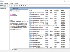 Win10רҵγ׹رϵͳԶ£