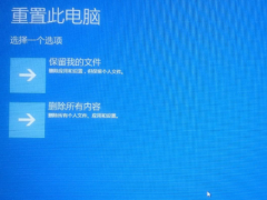 Win10רҵGTA5ô죿