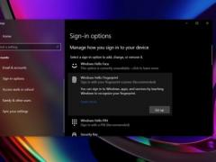 ΢ Win10 洢 Bug