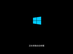 Win10 20H22009棩sihostĽ