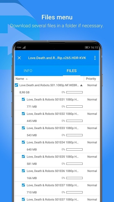 FDM  v6.12.0