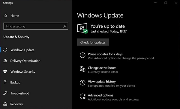 Win10ϵͳ Զذװѡ