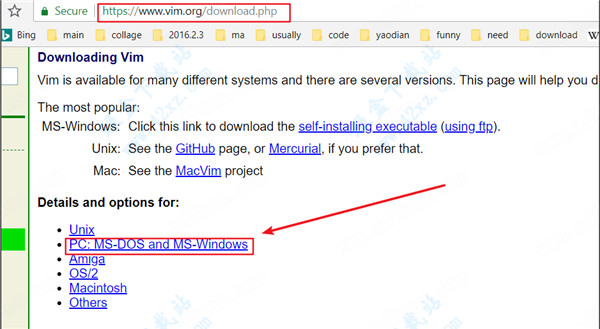 gVim  v8.2.2067
