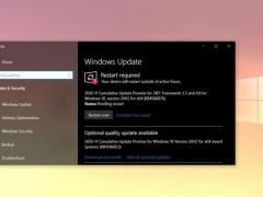 2020 Win10 20H1/20H2 ѡ·