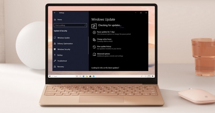 ΢²޸Win10 20H2