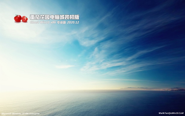 ѻ԰Win10_Win10 32λרҵ_2020Ϸר