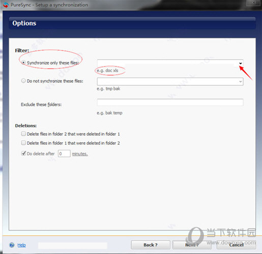 PureSync  v6.2.0
