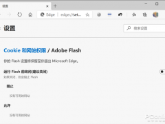 Win10ϵͳγж  Adobe Flash