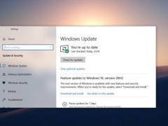 ΢ Windows 10 KB4598229 