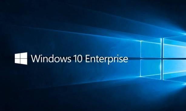 Win10 LTSC/LTSBʲô