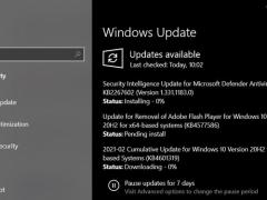 Win10 KB4577586ǿɾ FlashӦԣ