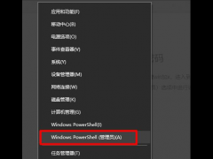 Win10Adminô
