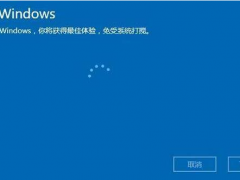 Win10 21H1ϵͳԿ/
