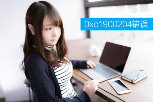 Win10߸ʾ0xc1900204