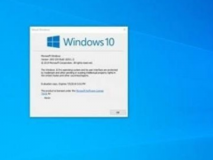 2021Win10 21h1漤Կ