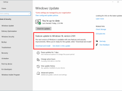 Win10 21H1 Build 19043.1023KB5003214