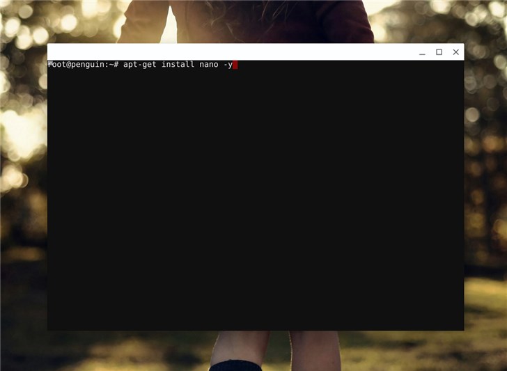 Chromebook޸LinuxװԴ