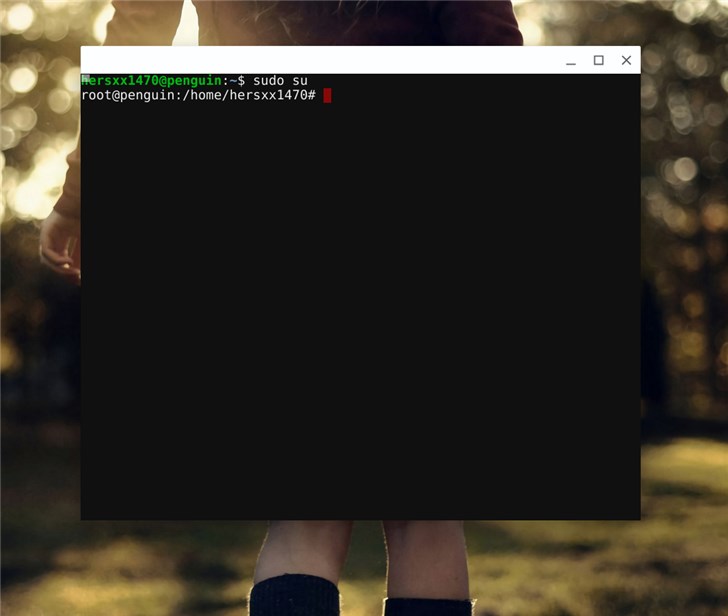 Chromebook޸LinuxװԴ