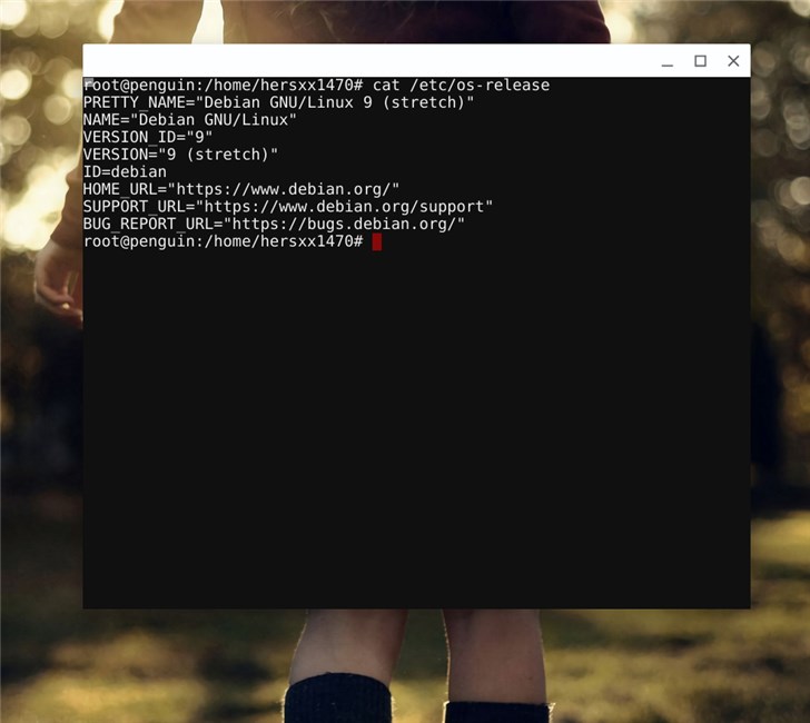 Chromebook޸LinuxװԴ