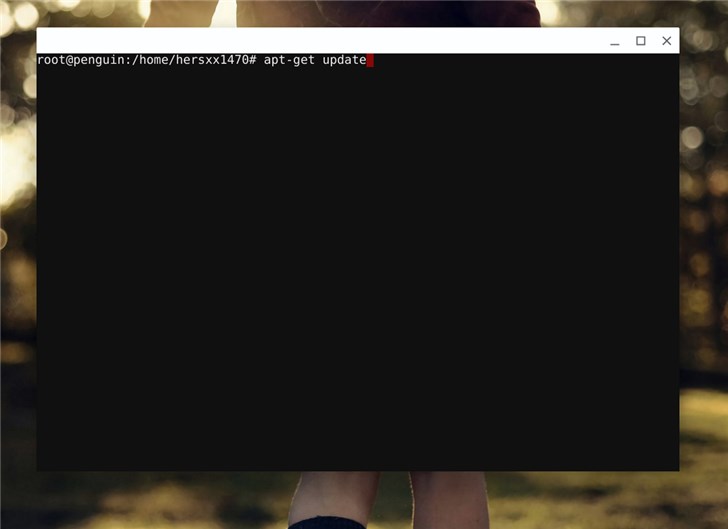 Chromebook޸LinuxװԴ