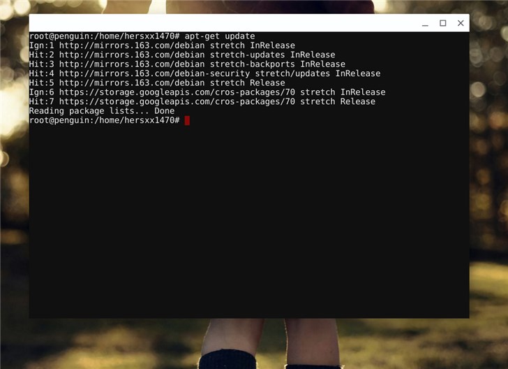 Chromebook޸LinuxװԴ