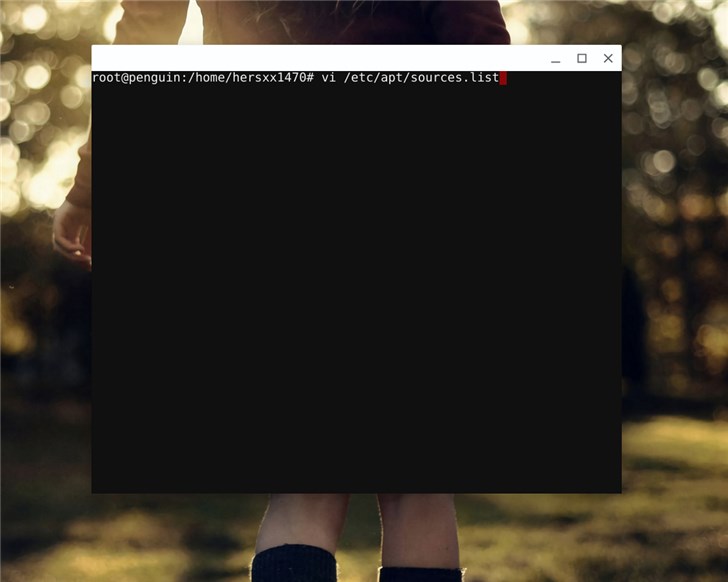 Chromebook޸LinuxװԴ