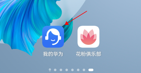Ϊ HarmonyOS 2.0 鹥