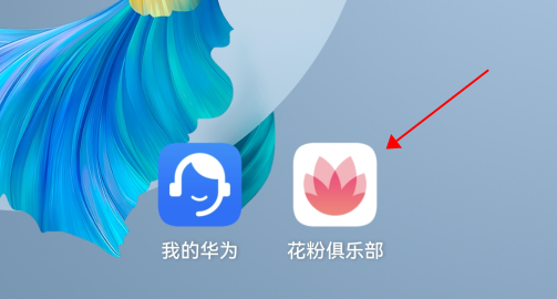 Ϊ HarmonyOS 2.0 鹥