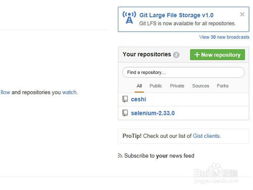 GitHub v3.3.4.0 װ