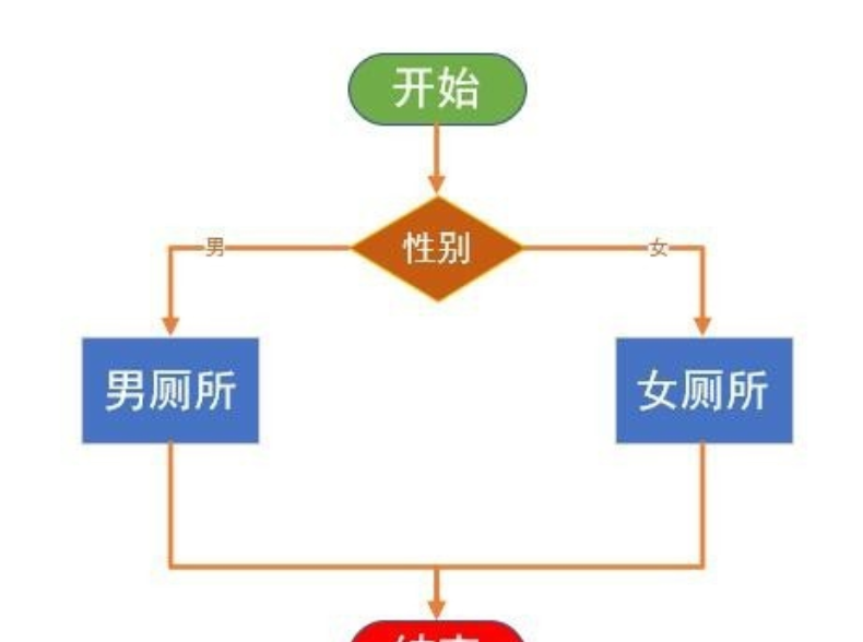 Microsoft Visio 2007 רҵ