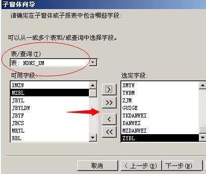 AccessӴʾ?