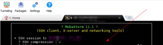 mobaxtermɨ˿ڵķ