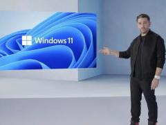Win11 ϵͳ޷ְ֧׿ APP
