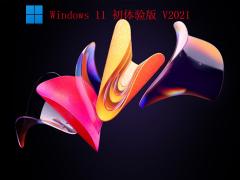 ΢ Win11רҵ V2021_ںװͺ