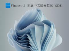 Win11ͥİ_Window11ͥİ V2021