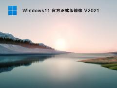 ΢ٷ Win11 64λ V2021_⼤ʽ澵