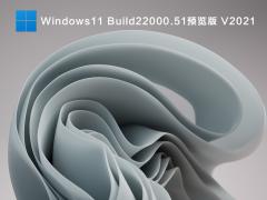 Win11ҵ_΢ Win11 64λҵ