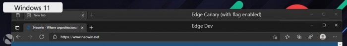 ΢ Win11Edge CanaryӾˢ