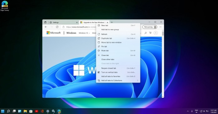 ΢ Win11Edge CanaryӾˢ