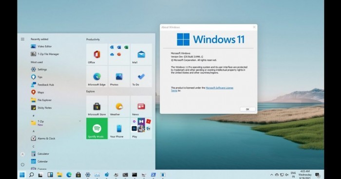 Windows 11λָ̬Win11ָ̬ķ