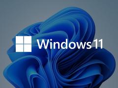 ڲ豸ϽWindows 11汾