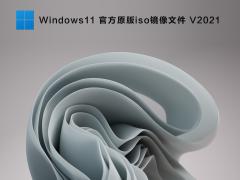 ΢ԭ Windows11 iso V2021
