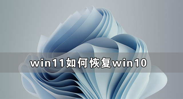 Win11λָWin10ָWin10̳