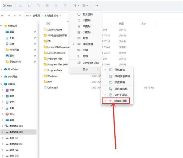 Win11רҵ鿴Ŀļ