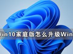 Win10ͥWin11ϵͳļ