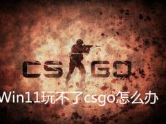 Win11ϵͳ治csgoô죿
