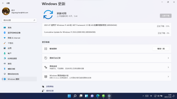 Win11 22000.100ô